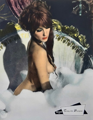 Tanz der vampire sharon - tanz,